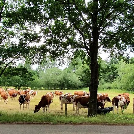 Downtown Hideaway, Grand Deluxe Bed and breakfast Eindhoven